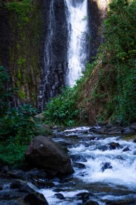 Caño Negro