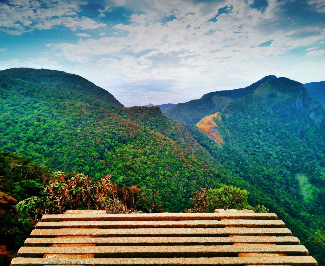 Viajes a Nuwara Eliya