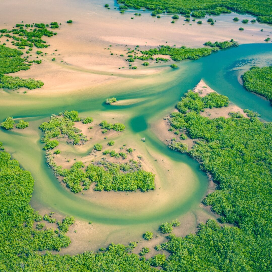 Viajes a Senegal