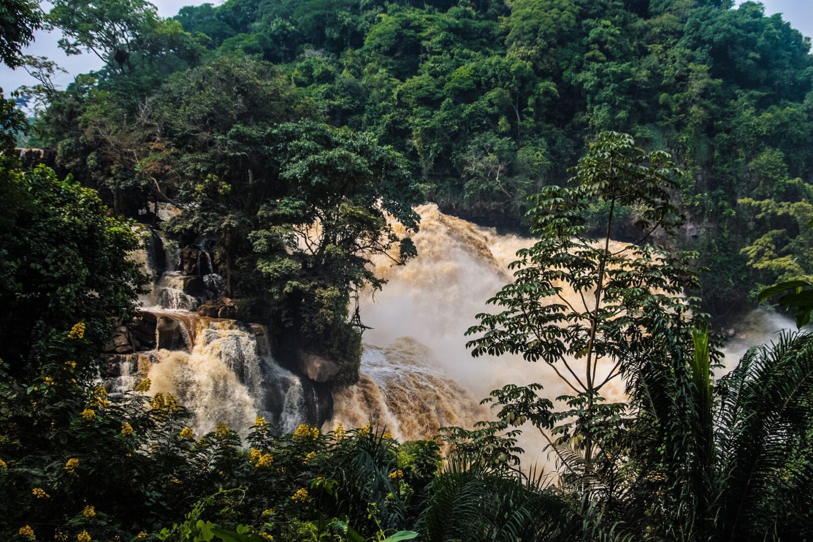 Viajes a Goma