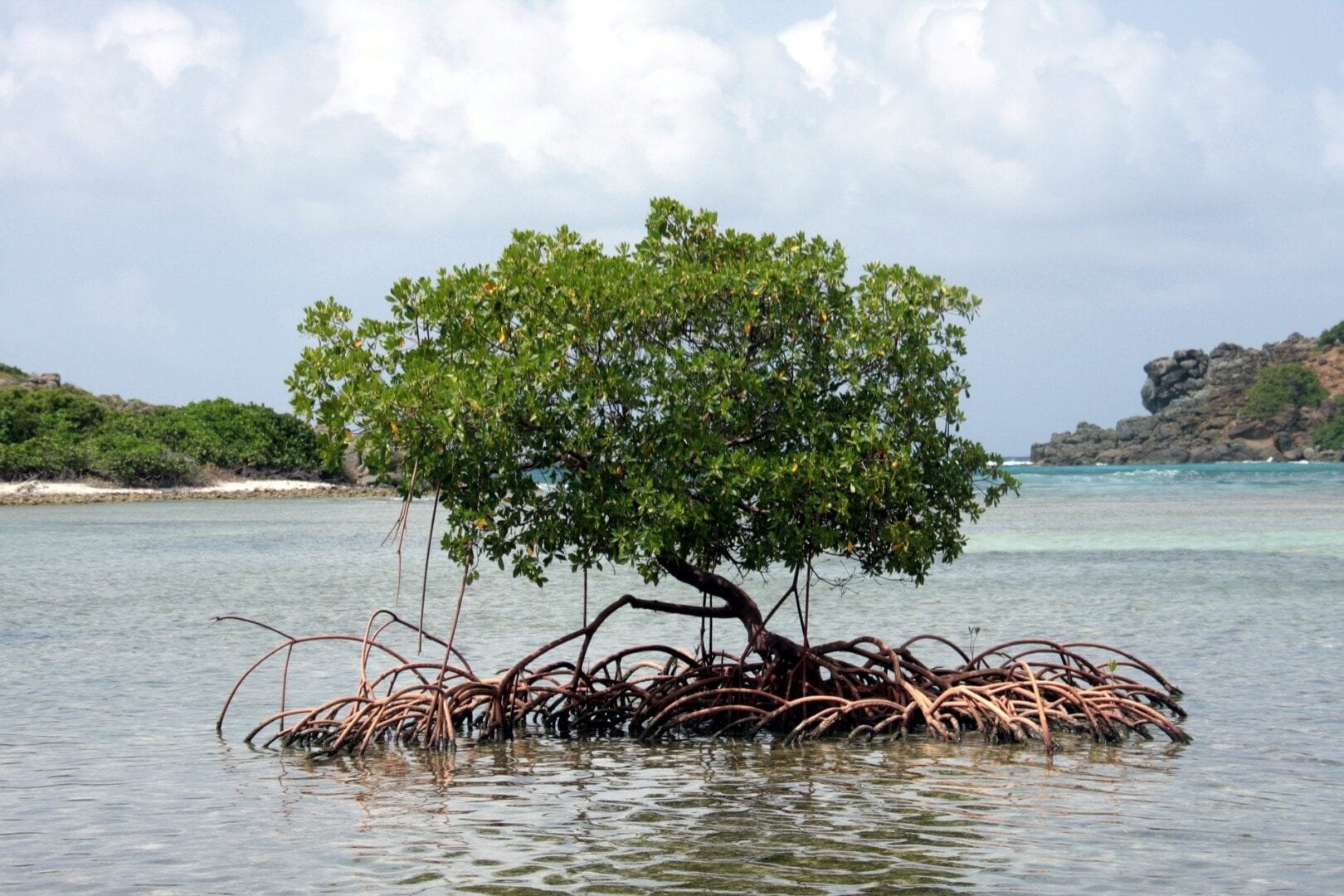 Viajes a Jost van Dyke