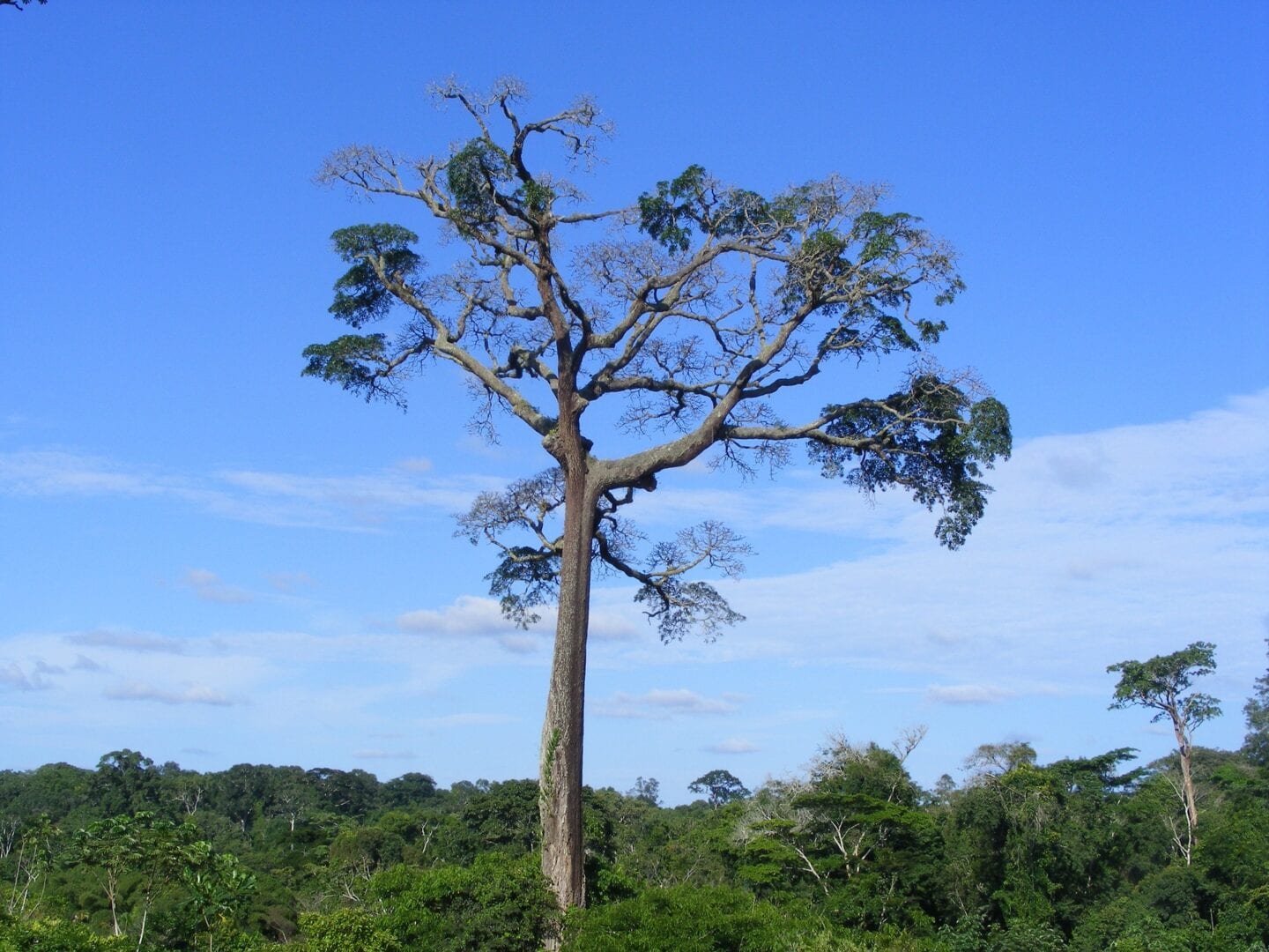 Viajes a Douala