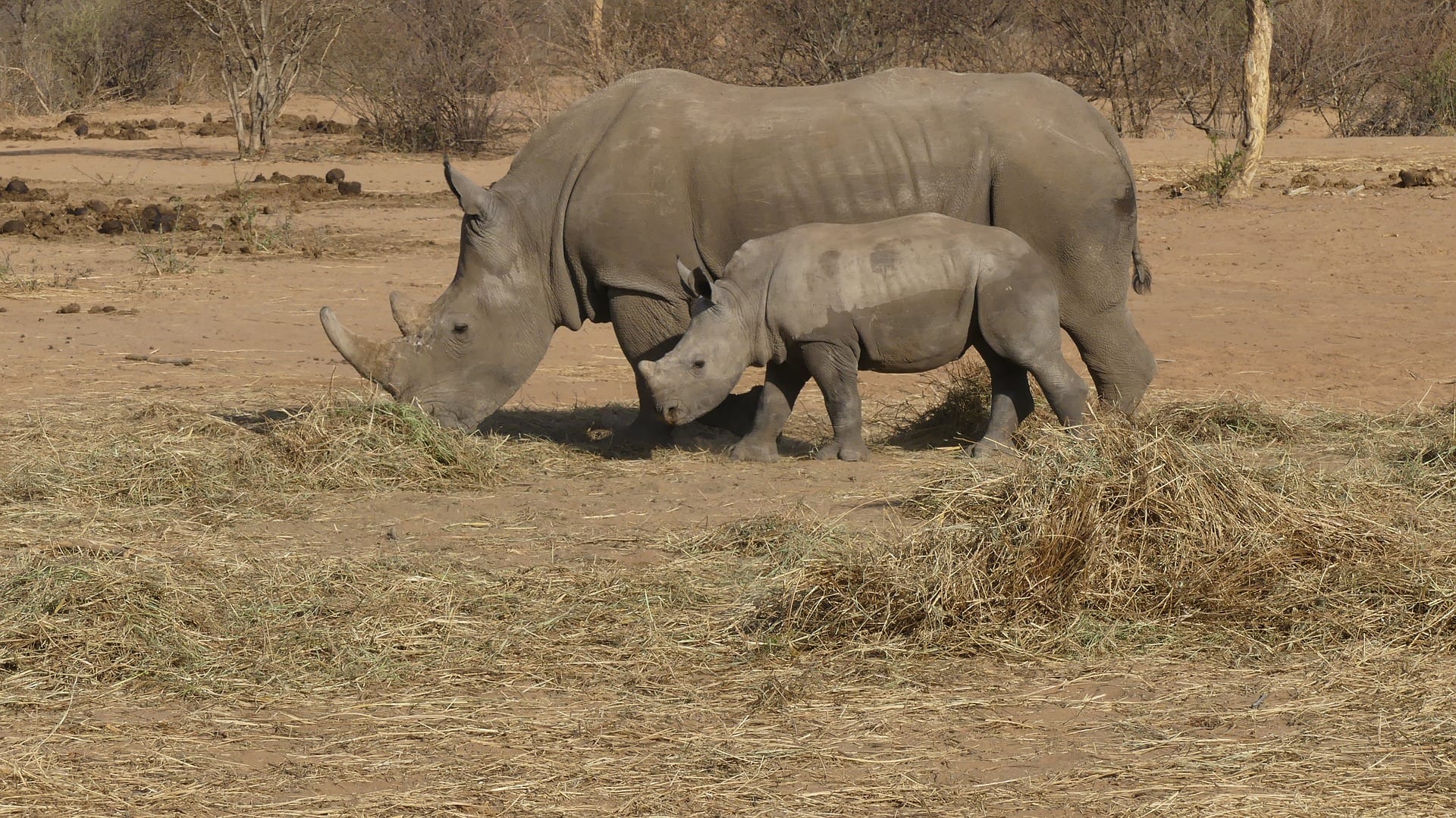 Viajes a Waterberg Plateau National Park