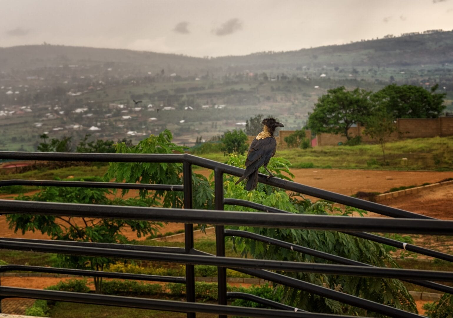 Viajes a Ruanda