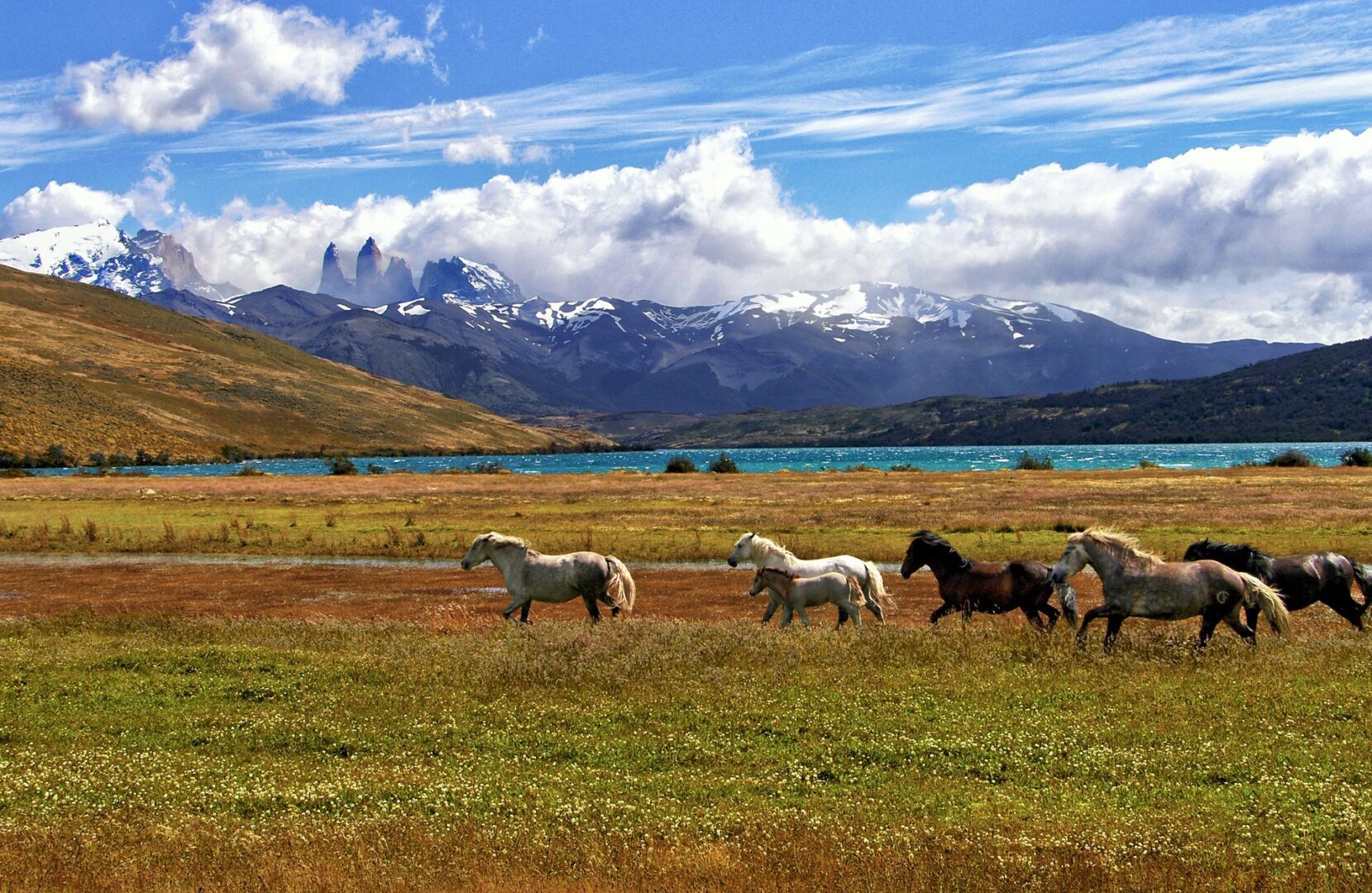 Viajes a Concepción