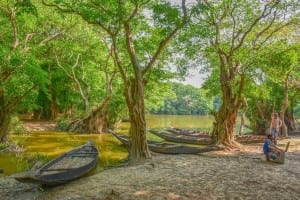 Bangladesh Paisaje Naturaleza