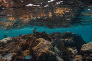 Belice Cayo Caulker Submarino