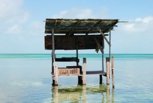 Belice Cayo Caulker ámbar Gris