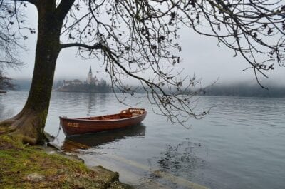 Bled Eslovenia árbol