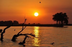 Botswana Puesta Del Sol Chobe