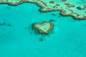 Corazón Coral Australia