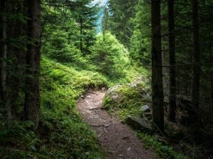 Caminando por uno de los senderos alpinos marcados Austria