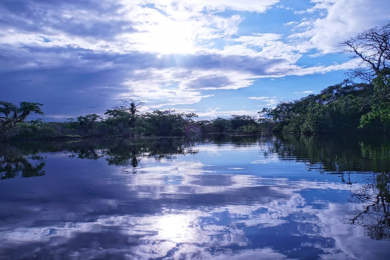 La Amazonía Ecuador Puesta De Sol