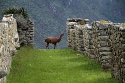 Machu Picchu Perú Inca