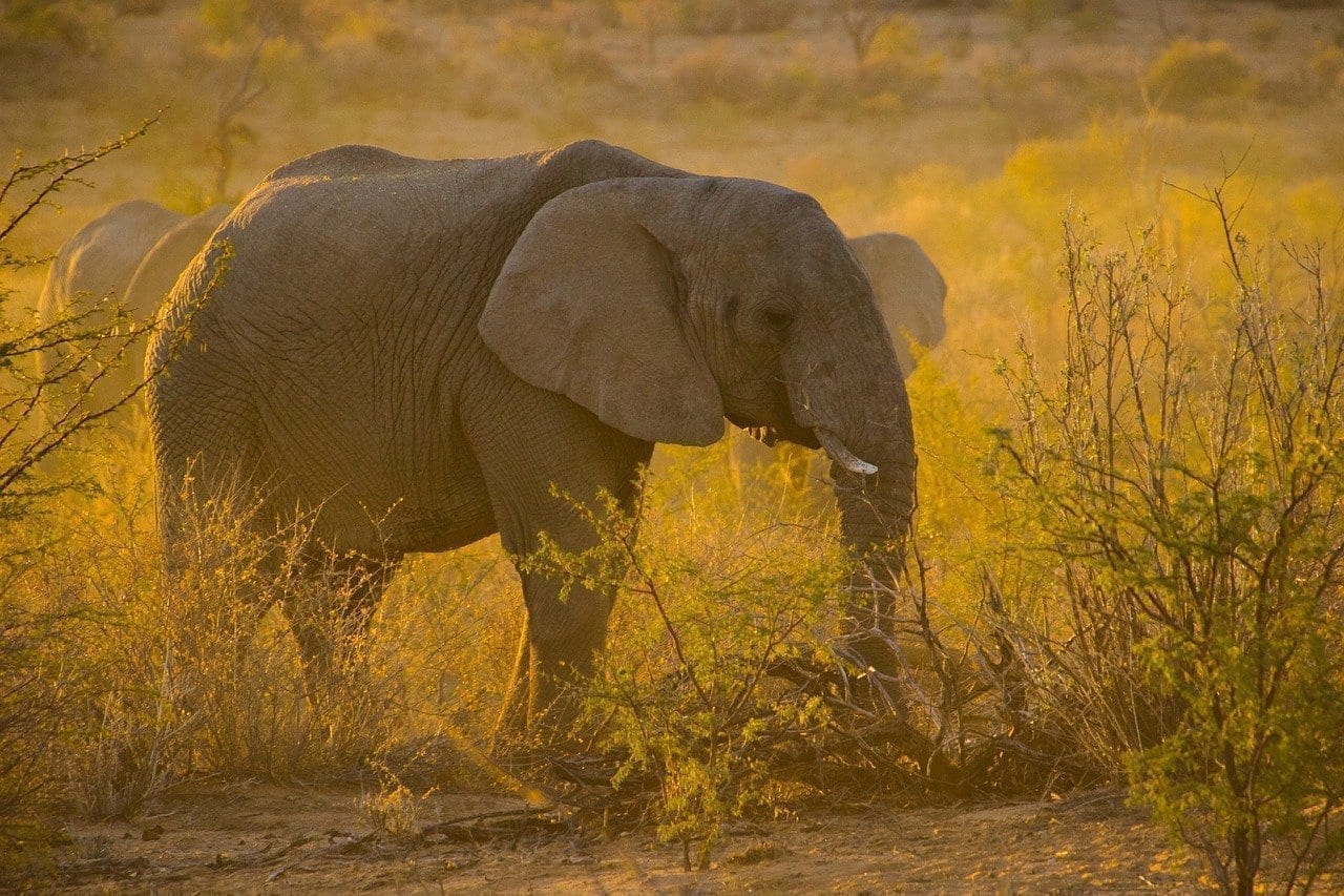 Viajes a Namibia