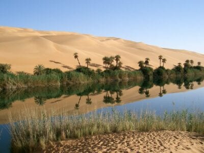 Oasis Libia Desierto