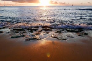 Orilla Del Mar Playa Barbados