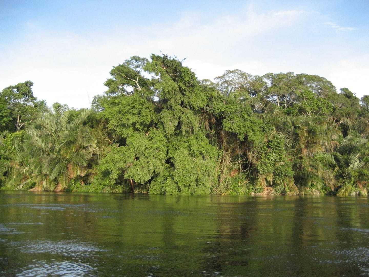 Paisaje en el río Alima, un afluente del río Congo Congo