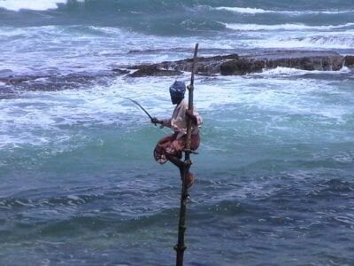 Pesca Pescador Sri Lanka