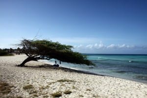 Playa Aruba Arena De La Playa