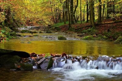 Polonia Bieszczady El Flujo De Hylaty