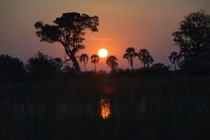 Puesta De Sol Botswana áfrica