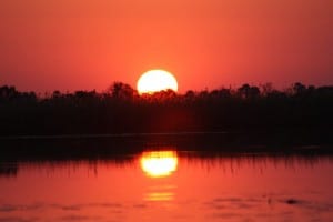 Puesta Del Sol áfrica Botswana