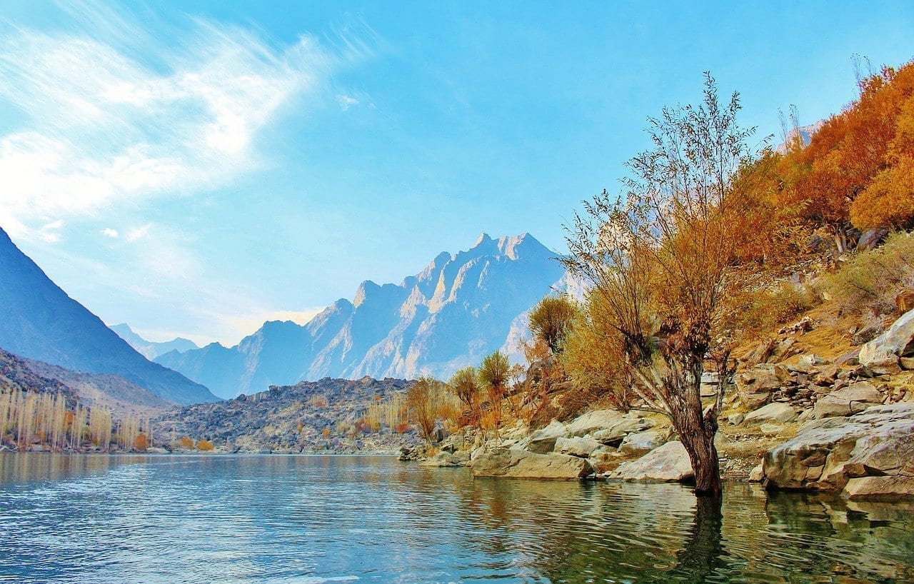 árbol Lago Pakistán