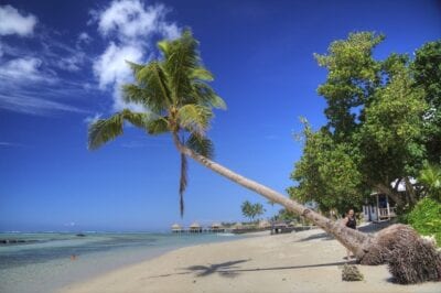 Samoa Trópico Playa
