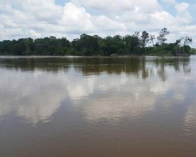 Acacías Colombia