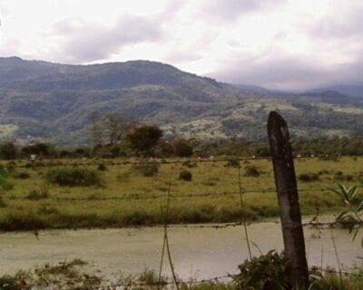 Acacías Colombia