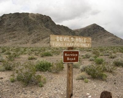 (1.) Amargosa Valley Estados Unidos