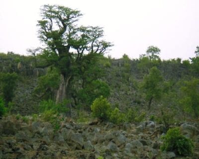 Bamako Mali