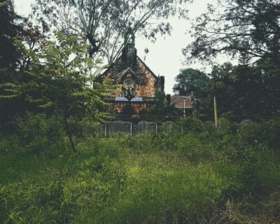 (2.) Batang Ai Malasia