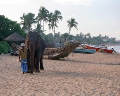 Beruwela Sri Lanka