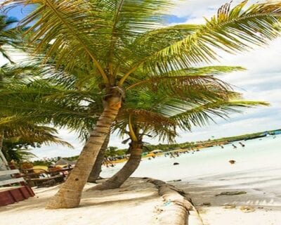 (3.) Boca Chica República Dominicana