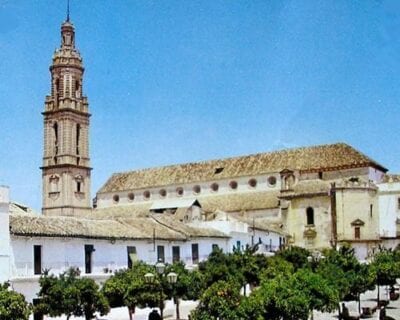 Bujalance España
