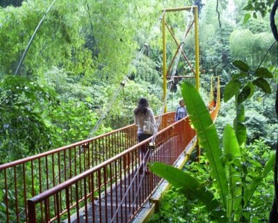 (3.) Calarca Colombia