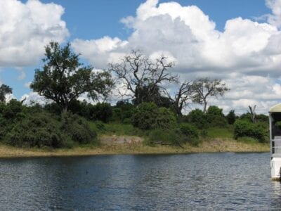 Chobe National Park Botswana