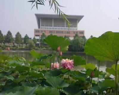 (4.) Chuzhou China