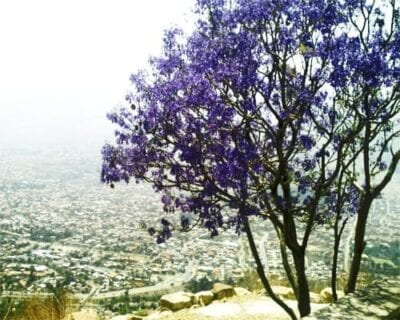 Cochabamba Bolivia