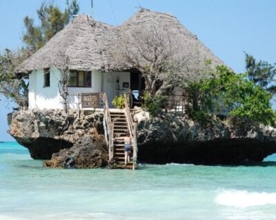 (2.) Costa Este (Zanzibar) Tanzania