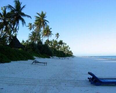 (1.) Costa Este (Zanzibar) Tanzania