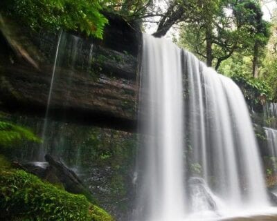 (1.) Courtenay Canadá