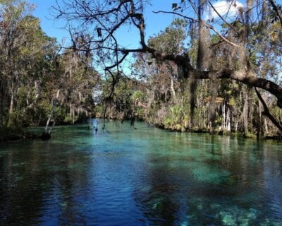 Crystal River FL Estados Unidos