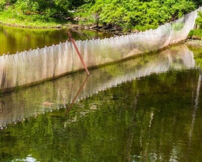 (2.) Damariscotta ME Estados Unidos