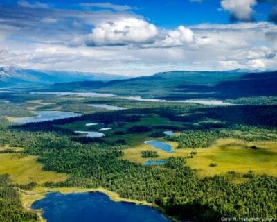 Denali National Park AK Estados Unidos