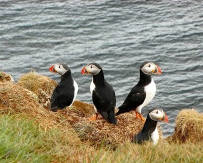 Drangsnes Islandia