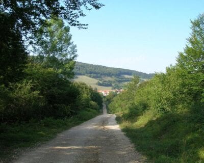 (3.) Espinal España