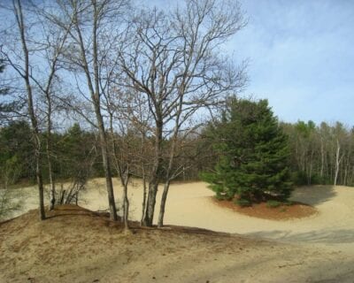 (1.) Freeport ME Estados Unidos